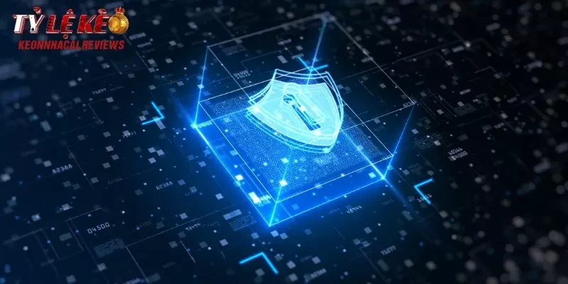 Những loại dữ liệu nào được thu thập và xử lý