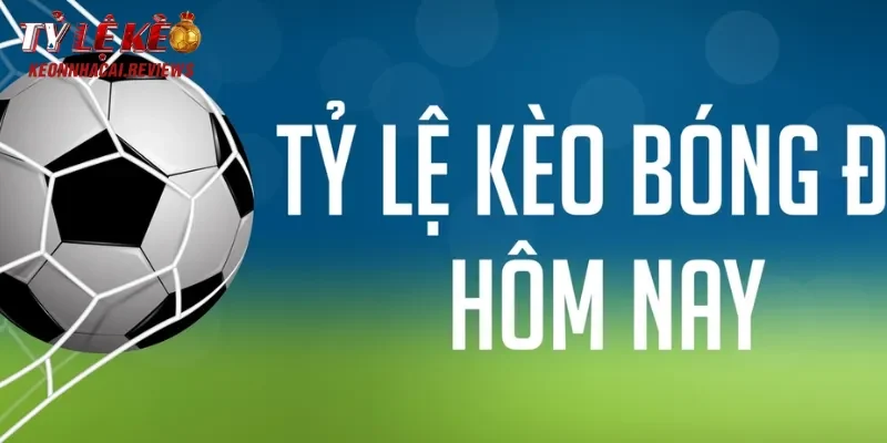 Cung cấp giải đấu Bundesliga