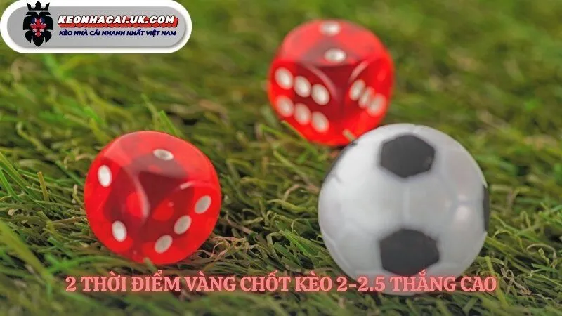 Phân tích trận đấu chọn kèo tài xỉu 2-2.5 là gì