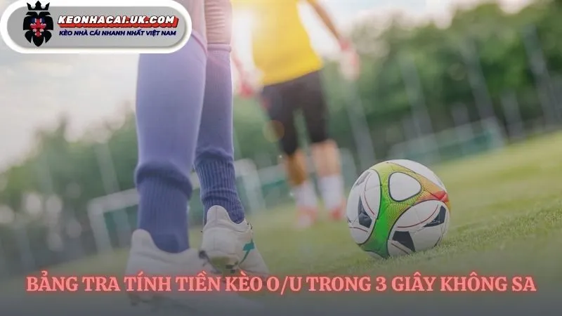 Công cụ nhẩm nhanh cách tính tài xỉu bóng đá