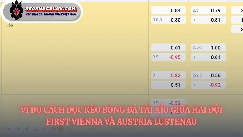 Ví dụ về cách đọc kèo bóng đá tài xỉu