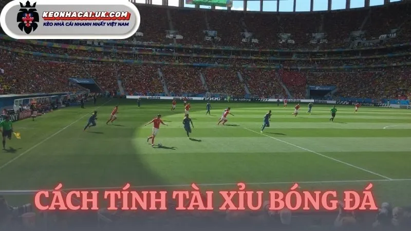 cách tính tài xỉu bóng đá