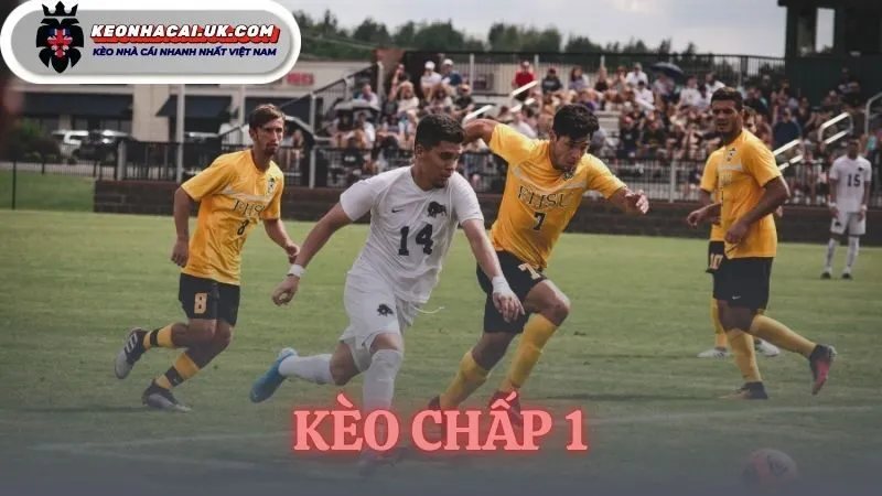 Kèo Chấp 1 Là Gì | Cách Tính Tiền Cược Chuẩn Xác Nhất