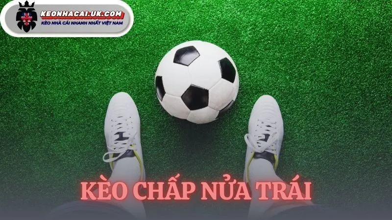 Kèo Chấp Nửa Trái - Hướng Dẫn Đọc Kèo 0.5 Từ Kèo Nhà Cái