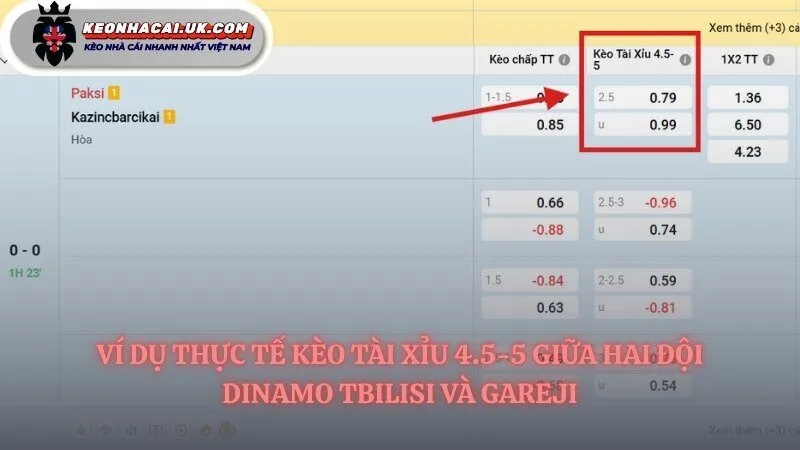 Ví dụ kèo đọc tài xỉu 4.5-5